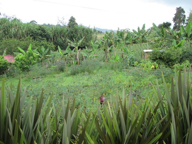 place photo 34