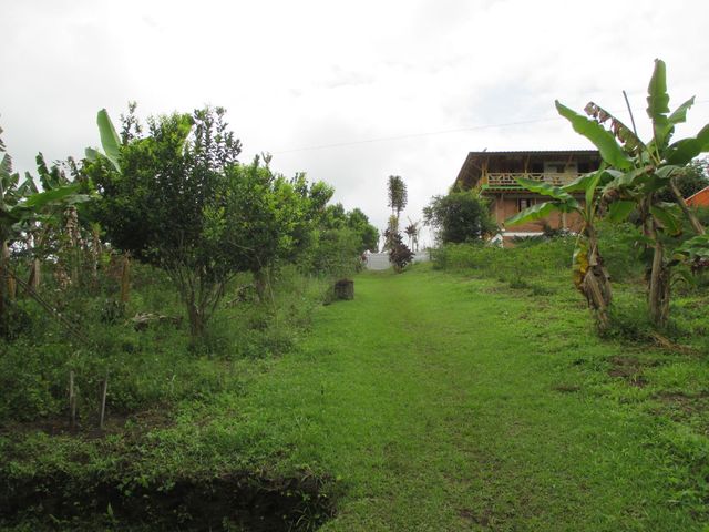 place photo 41