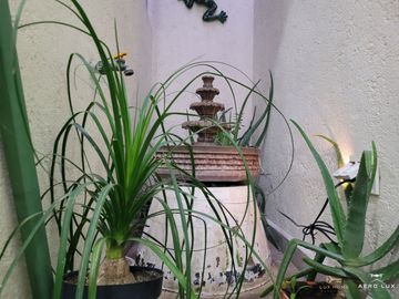 place photo 34