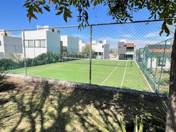 place photo 23