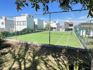 place photo 22
