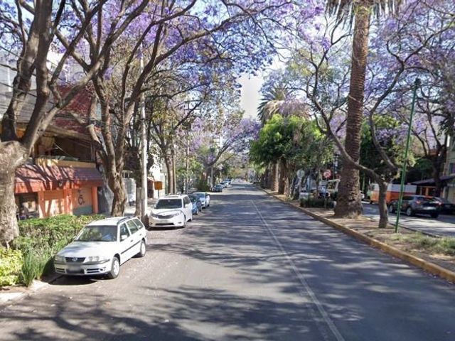place photo 16