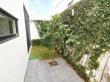 place photo 26