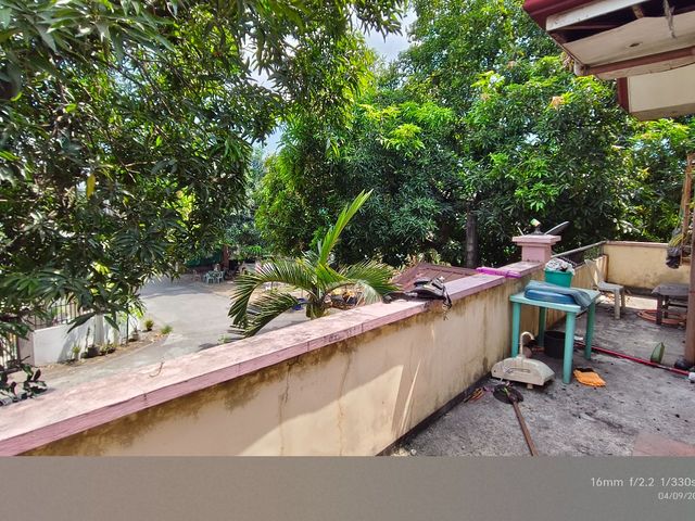 place photo 31