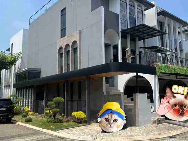 place photo 23