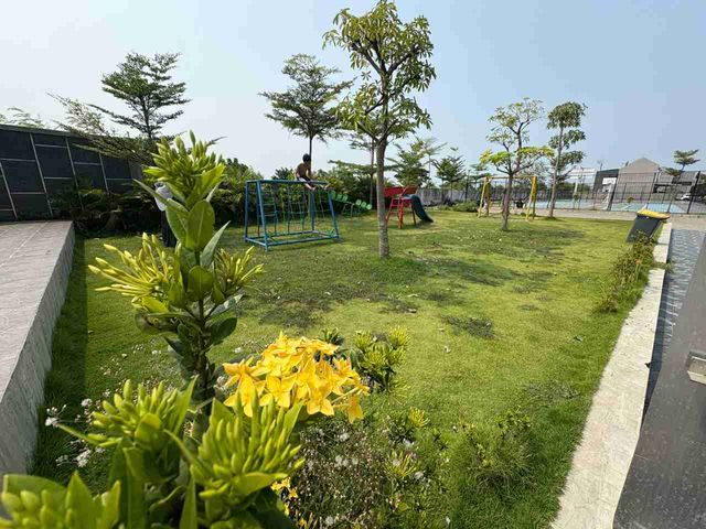 place photo 33