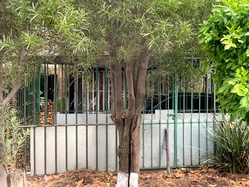 place photo 28