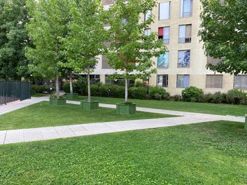 place photo 43