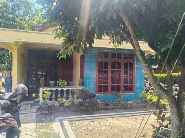 place photo 5