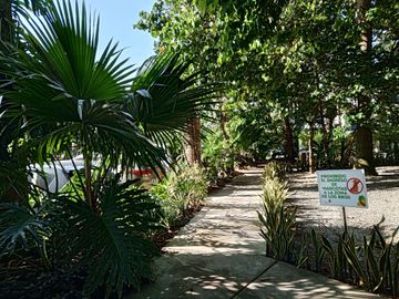 place photo 16