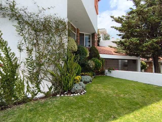 place photo 54