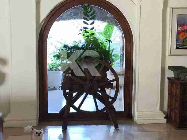 place photo 46