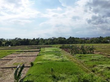 Tanah dijual di Cemagi