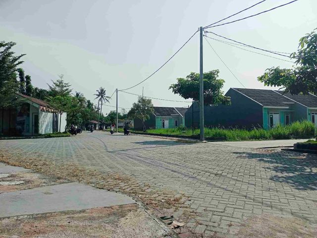 place photo 12
