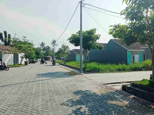place photo 14