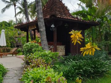 place photo 18