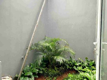 place photo 29