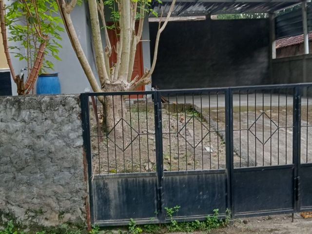place photo 7