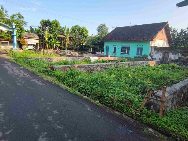 place photo 3