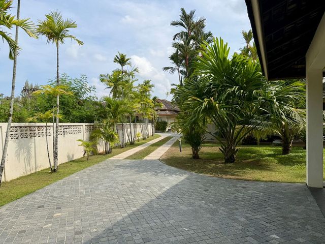 place photo 46