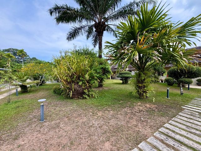 place photo 47
