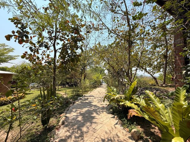 place photo 61