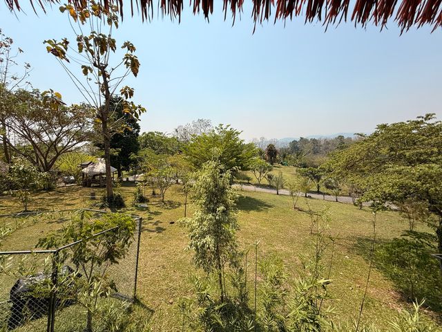 place photo 62