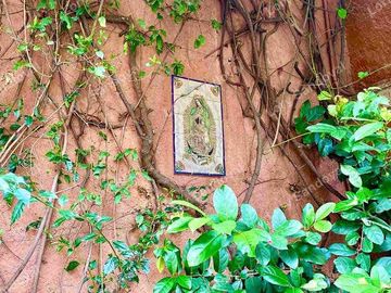 place photo 48