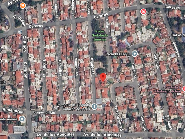 place photo 6