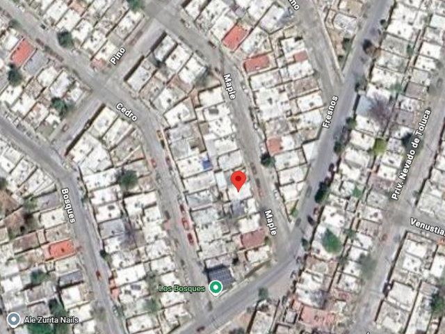place photo 7