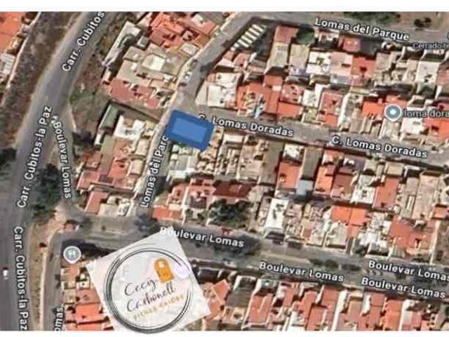 place photo 35