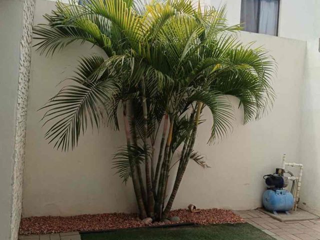 place photo 14