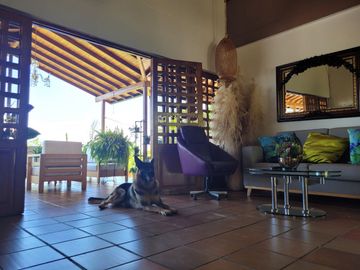 place photo 41