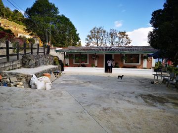 place photo 11