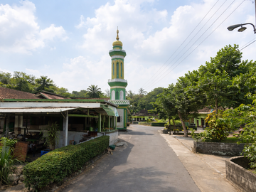 place photo 4