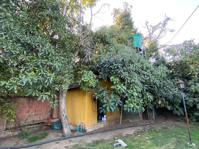 place photo 38