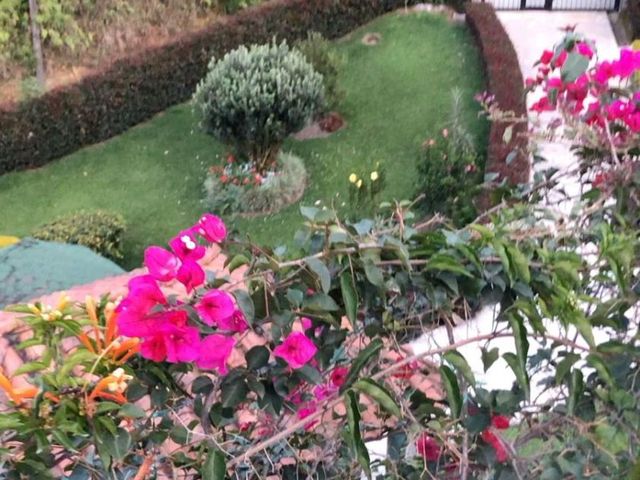 place photo 41