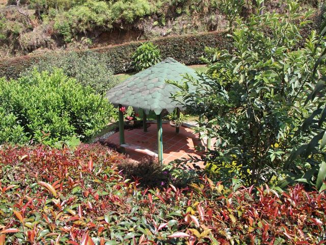 place photo 36