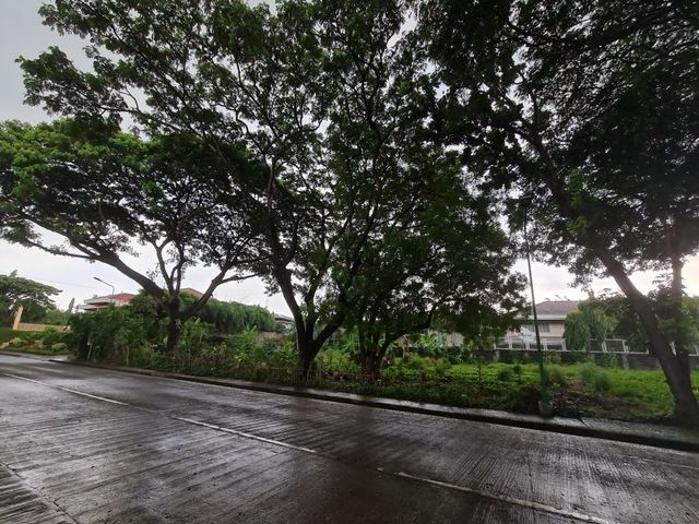 For Sale: Southeast-Facing 932 sqm Lot in Ayala Alabang Just Hit the Market
