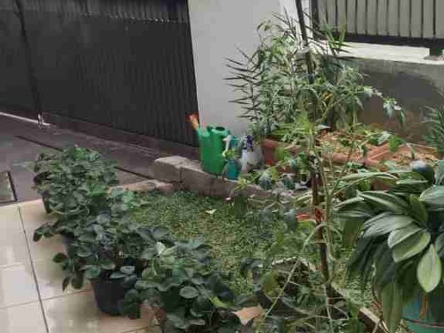 place photo 29
