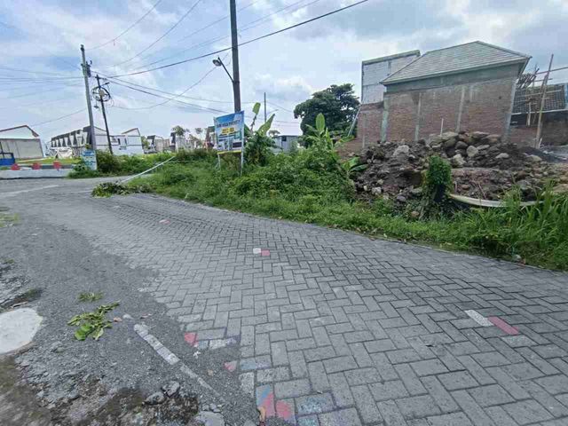 place photo 15