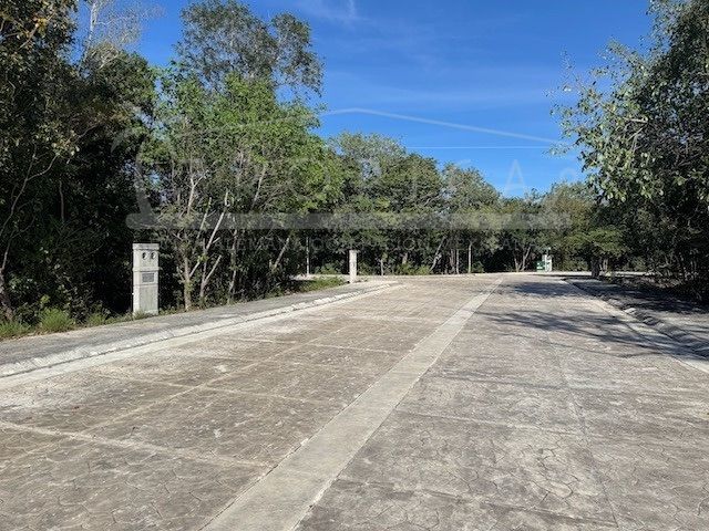 place photo 26
