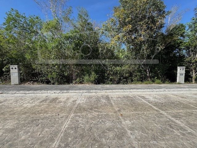 place photo 28