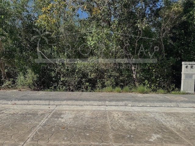 place photo 30