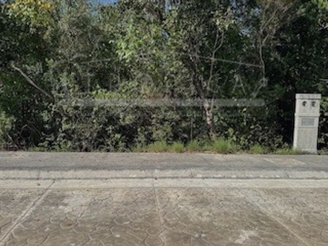 place photo 32
