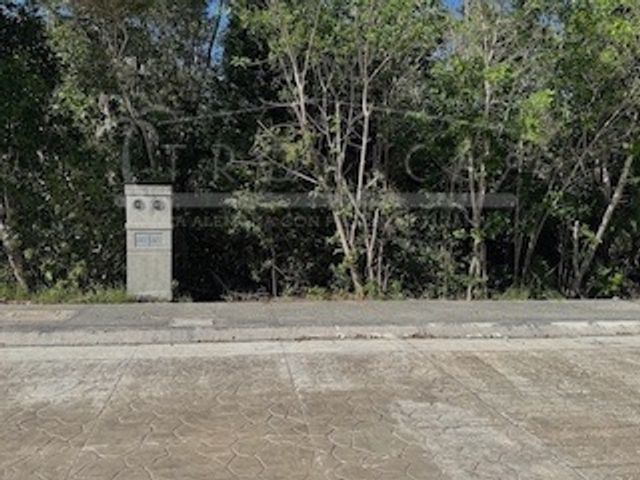 place photo 35