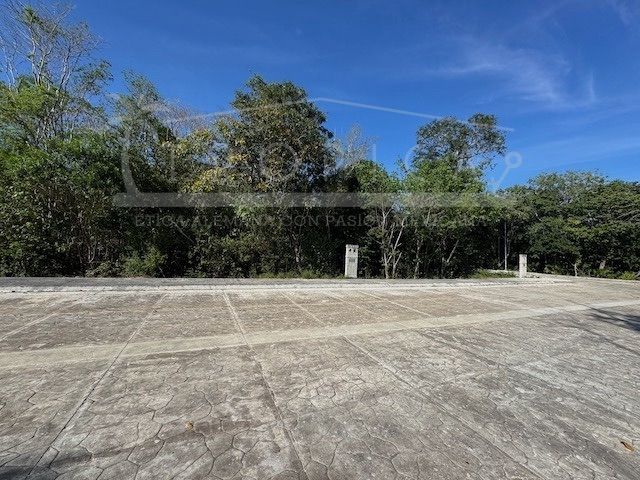 place photo 36