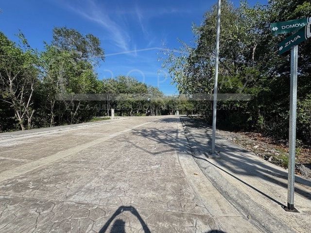 place photo 37