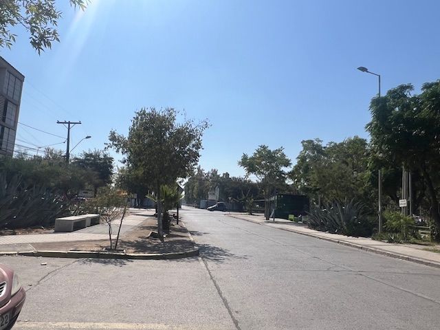 place photo 39