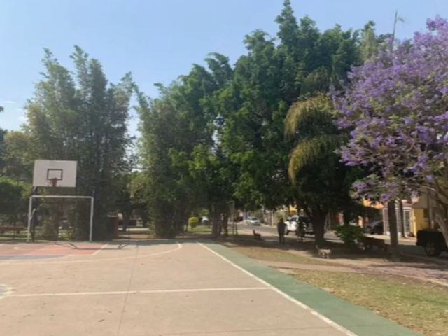 place photo 17